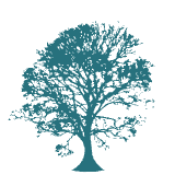 Logo de Premedic